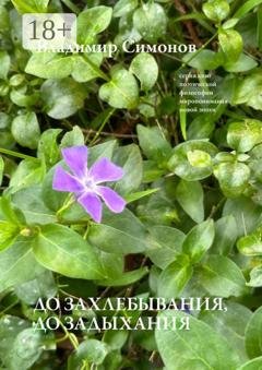 Обложка книги «До захлебывания, до задыхания. Серия книг поэтической философии миропонимания новой эпохи» — Владимир Симонов