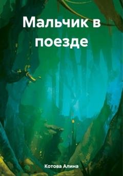 Обложка книги «Мальчик в поезде» — Алина Котова