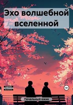 Обложка книги «Эхо волшебной вселенной» — ежик Печальный