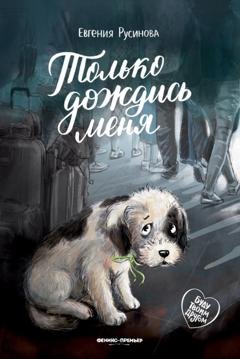 Обложка книги «Только дождись меня» — Евгения Русинова