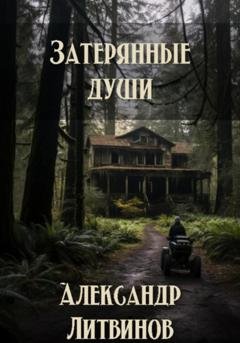 Обложка книги «Затерянные души» — Александр Литвинов