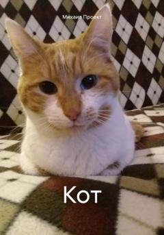 Обложка книги «Кот» — Михаил Львович Проект