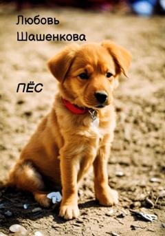Обложка книги «Пёс» — Любовь Шашенкова