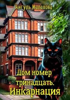 Обложка книги «Дом номер тринадцать. Инкарнация» — Айгуль Малахова