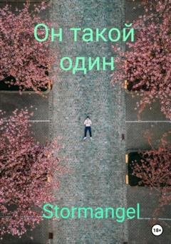 Обложка книги «Он такой один» — Stormangel