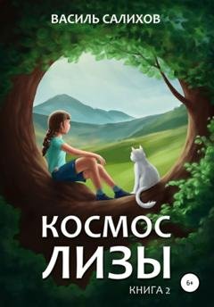 Обложка книги «Космос Лизы. Книга 2» — Василь Салихов
