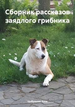 Обложка книги «Сборник рассказов заядлого грибника» — Анна Николаевна Цыбульник