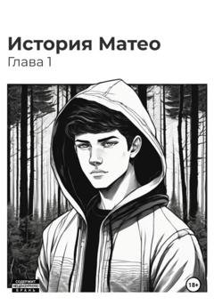 Обложка книги «История Матео. Глава 1» — Арсения Сафонова