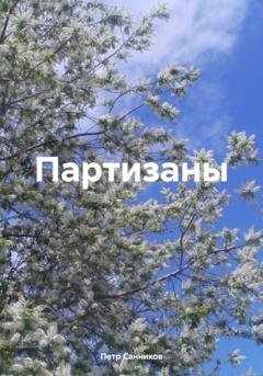 Обложка книги «Партизаны» — Петр Санников