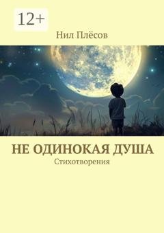 Обложка книги «Не одинокая душа. Стихотворения» — Нил Плёсов