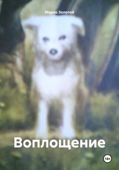 Обложка книги «Воплощение» — Марио Золотой