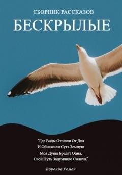 Обложка книги «Бескрылые» — Роман Воронов