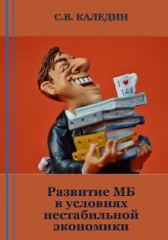 Обложка книги «Развитие МБ в условиях нестабильной экономики» — Сергей Каледин
