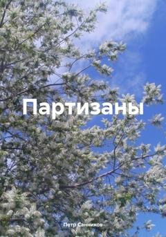 Обложка книги «Партизаны» — Петр Санников