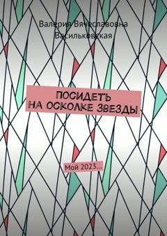 Обложка книги «Посидеть на осколке звезды. Мой 2023…» — Валерия Вячеславовна Васильковская