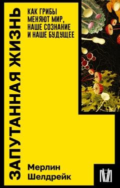 Обложка книги «Запутанная жизнь. Как грибы меняют мир, наше сознание и наше будущее» — Мерлин Шелдрейк