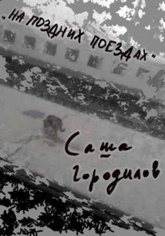 Обложка книги «На поздних поездах» — Саша Городилов