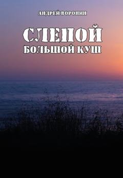 Обложка книги «Слепой. Большой куш» — Андрей Воронин