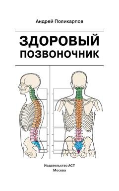 Обложка книги «Здоровый позвоночник» — Андрей Поликарпов