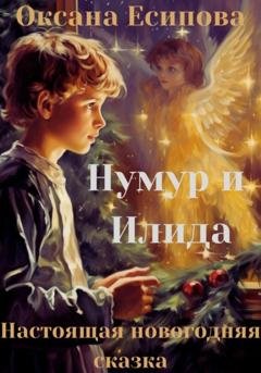 Обложка книги «Нумур и Илида» — Оксана Есипова