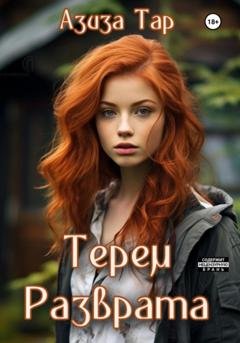 Обложка книги «Терем разврата» — Азиза Тар