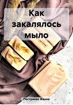 Обложка книги «Как закалялось мыло» — Жанна Пестряева