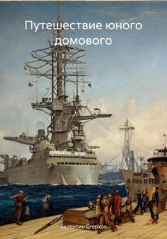 Обложка книги «Путешествие юного домового» — Валентин Стерхов