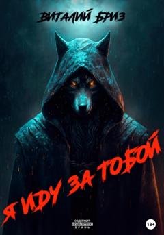 Обложка книги «Я иду за тобой» — Виталий Бриз