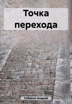 Обложка книги «Точка перехода» — Андрей Собакин