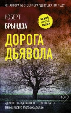 Обложка книги «Дорога дьявола» — Роберт Брындза