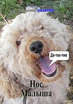 Обложка книги «Нос Малыша» — Владимир Владимирович Назаров