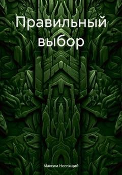 Обложка книги «Правильный выбор» — Максим Олегович Неспящий