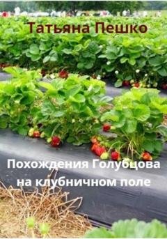 Обложка книги «Похождения Голубцова на клубничном поле» — Татьяна Пешко