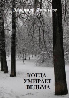 Обложка книги «Когда умирает ведьма» — Владимир Васильевич Гриньков