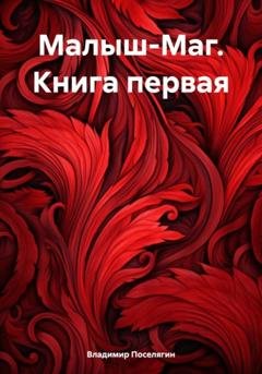 Обложка книги «Малыш-Маг. Книга первая» — Владимир Геннадьевич Поселягин
