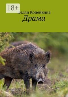 Обложка книги «Драма» — Нелли Копейкина