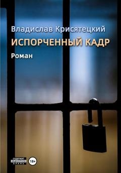 Обложка книги «Испорченный кадр» — Владислав Крисятецкий