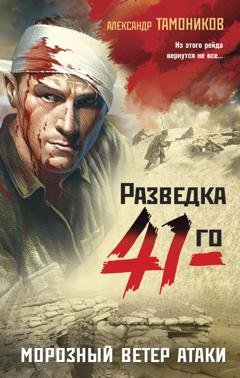 Обложка книги «Морозный ветер атаки» — Александр Тамоников