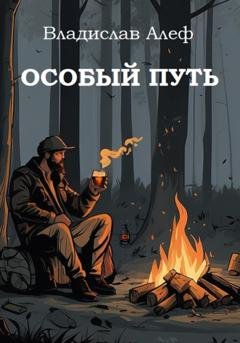 Обложка книги «Особый путь» — Владислав Алеф