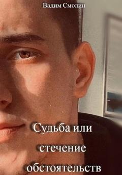 Обложка книги «Судьба или стечение обстоятельств» — Вадим Сергеевич Смолин