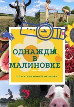 Обложка книги «Однажды в Малиновке» — Ольга Ефимова-Соколова