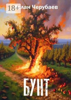 Обложка книги «Бунт» — Аслан Черубаев