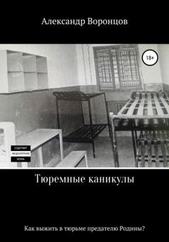 Обложка книги «Тюремные каникулы» — Александр Воронцов