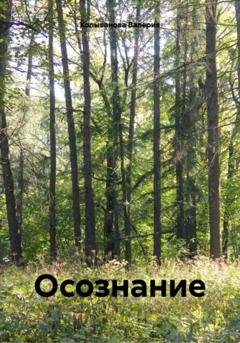 Обложка книги «Осознание» — Валерия Колыванова