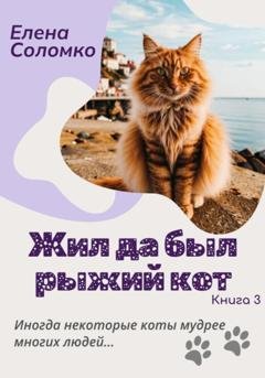 Обложка книги «Жил да был рыжий кот. Книга 3» — Елена Соломко