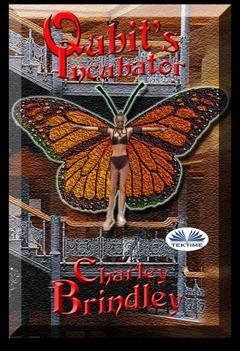 Обложка книги «Qubit's Incubator» — Чарли Бриндли