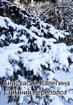 Обложка книги «Зимний переполох» — Анастасия Калегина