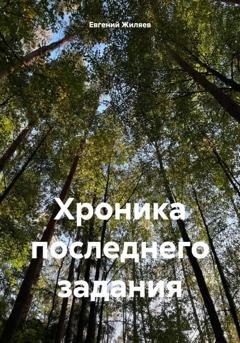 Обложка книги «Хроника последнего задания» — Евгений Александрович Жиляев