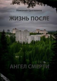 Обложка книги «Жизнь после. Ангел смерти» — Николай Анатольевич Цыглимов