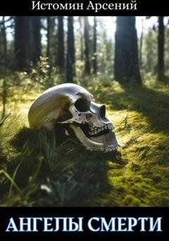 Обложка книги «Ангелы смерти» — Арсений Александрович Истомин
